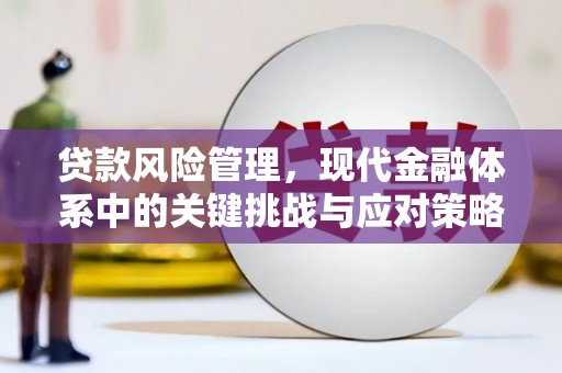 花山贷款风险管理，现代金融体系中的关键挑战与应对策略