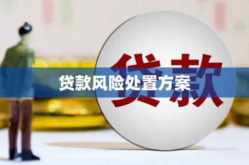 花山贷款风险处置方案