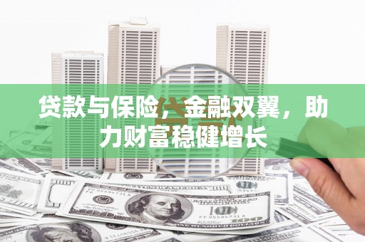 花山贷款与保险，金融双翼，助力财富稳健增长