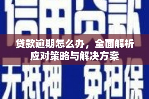 花山贷款逾期怎么办，全面解析应对策略与解决方案