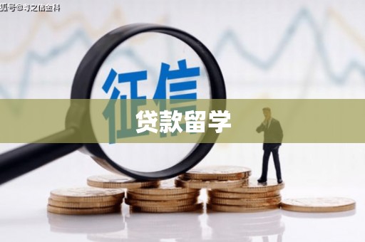 花山贷款留学