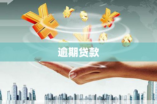 花山逾期贷款