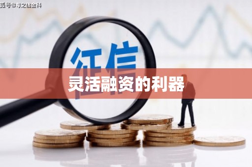 花山灵活融资的利器