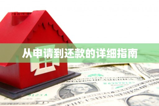 花山从申请到还款的详细指南