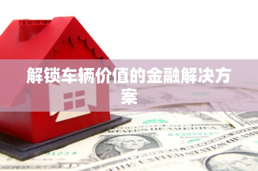 花山解锁车辆价值的金融解决方案