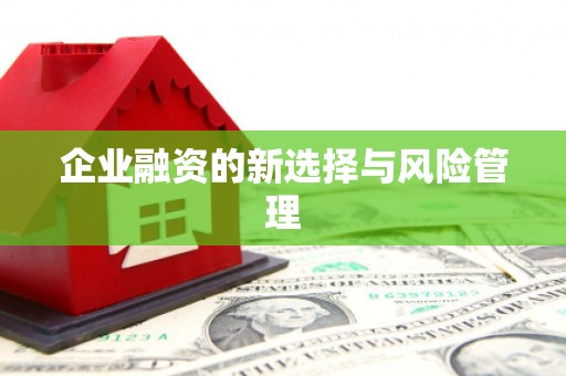 花山企业融资的新选择与风险管理
