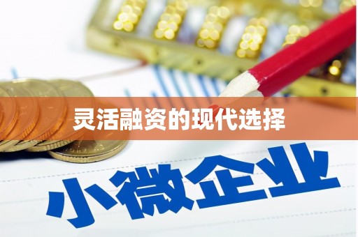 花山灵活融资的现代选择
