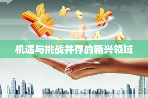 花山机遇与挑战并存的新兴领域
