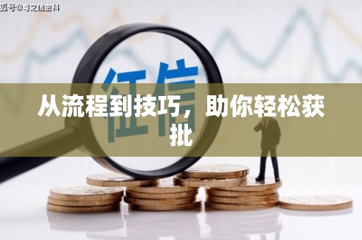 花山从流程到技巧，助你轻松获批