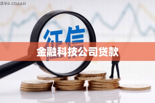花山金融科技公司贷款