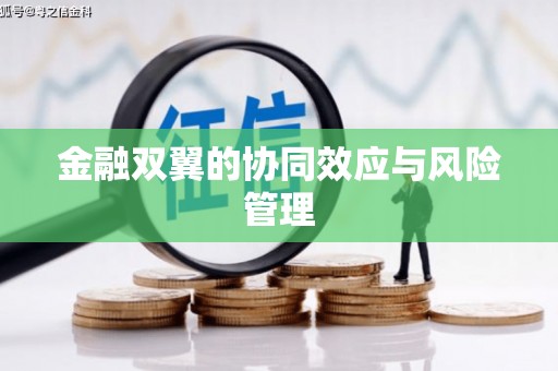 花山金融双翼的协同效应与风险管理