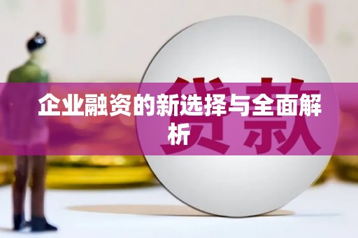 花山企业融资的新选择与全面解析