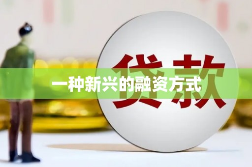 花山一种新兴的融资方式