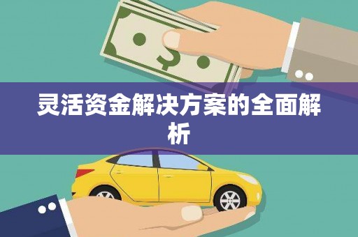 花山灵活资金解决方案的全面解析