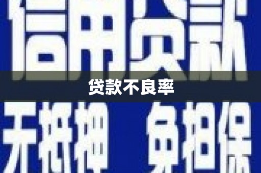 花山贷款不良率